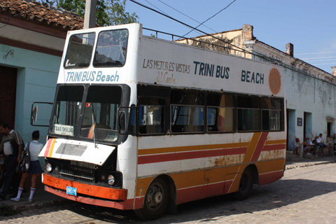 trini bus