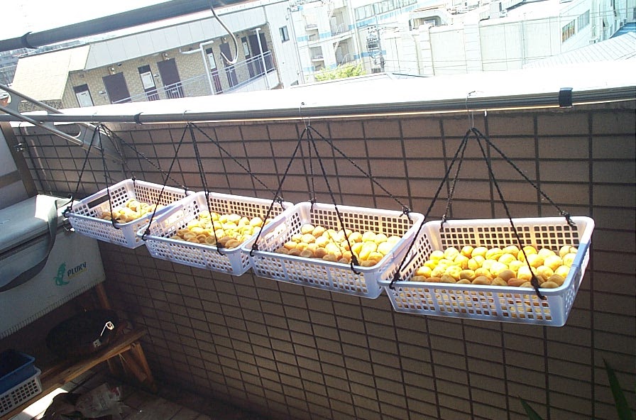 7月19日 土用干し