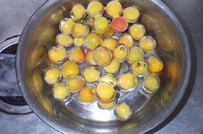 梅を洗う