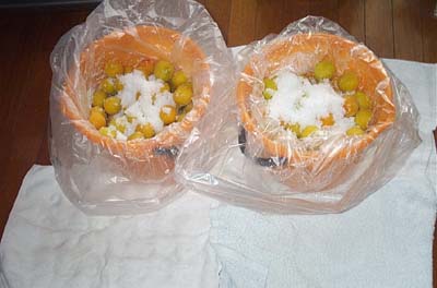 漬け込み