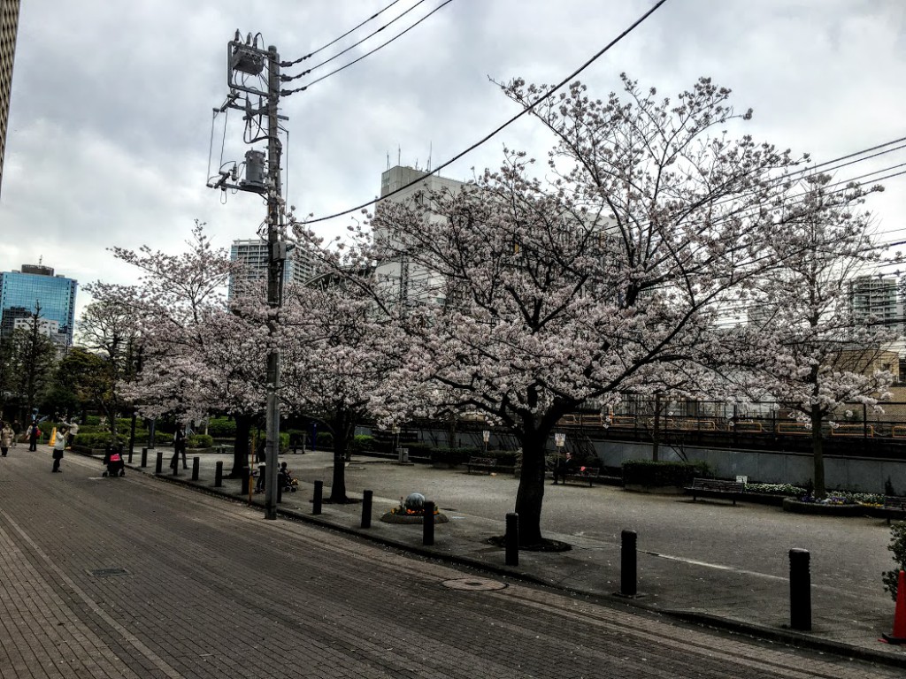 線路沿いの公園