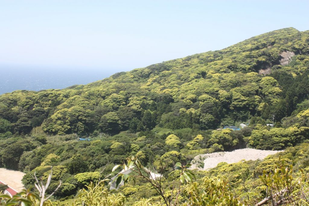 登山口に向かう