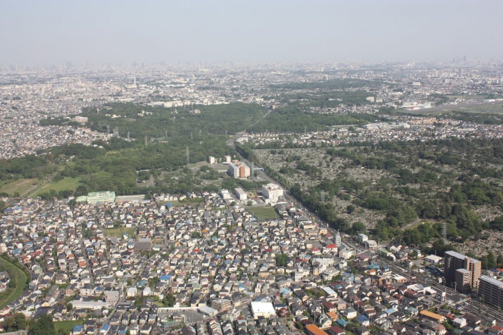 野川公園、東八道路、多磨霊園