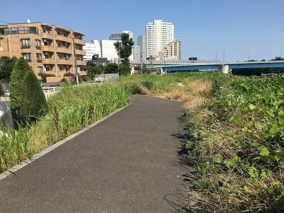 サイクリング道路