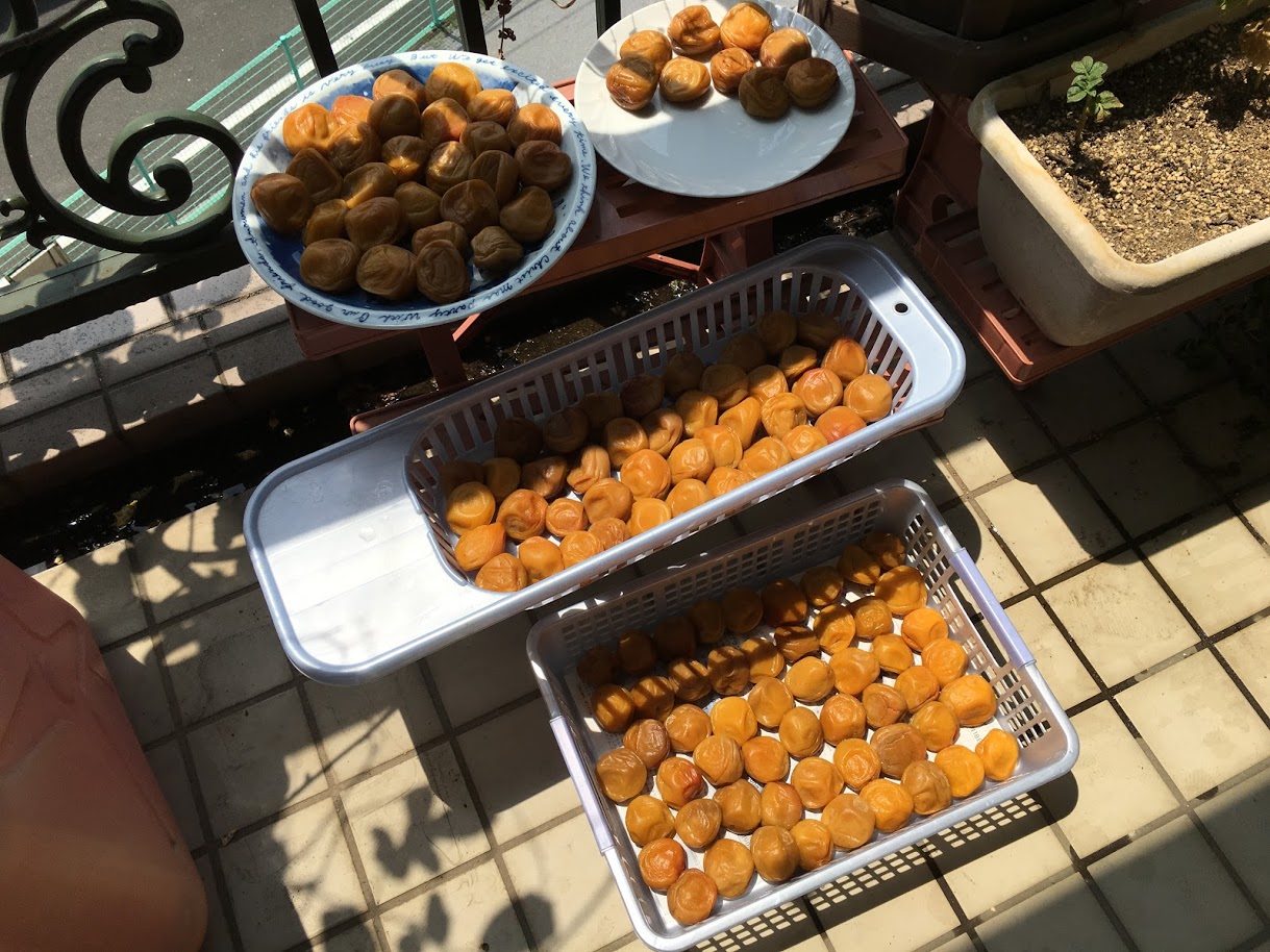 土用干し〜2